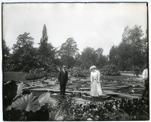 Horisontalt, svart -hvitt fotografi som viser en mann og en kvinne som står på gigantiske liljeunderlag i liljedammen ved Tower Grove Park.